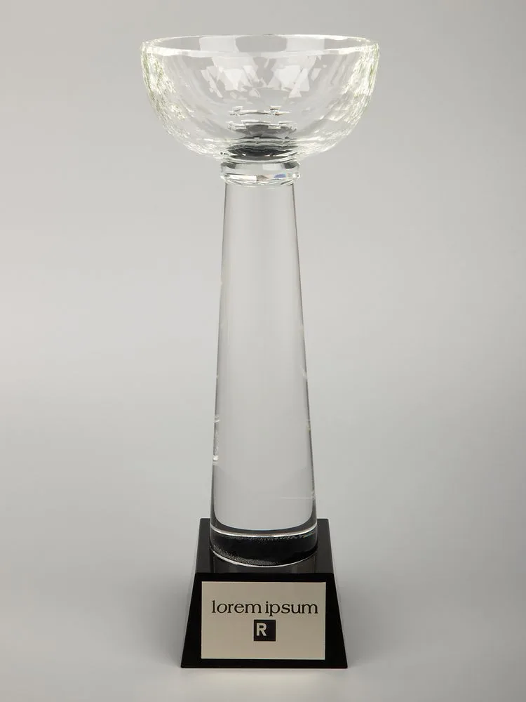 Кубок Cupture, большой