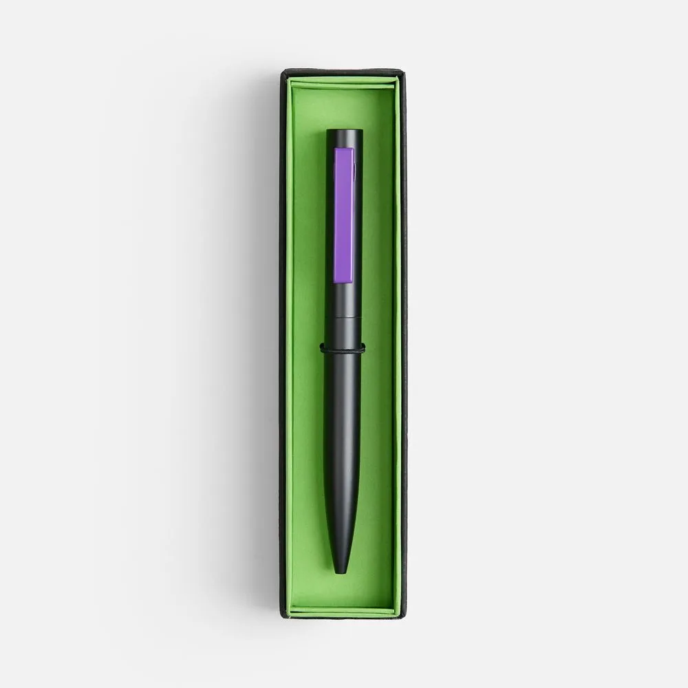 Ручка шариковая Inkolor в футляре, черная с