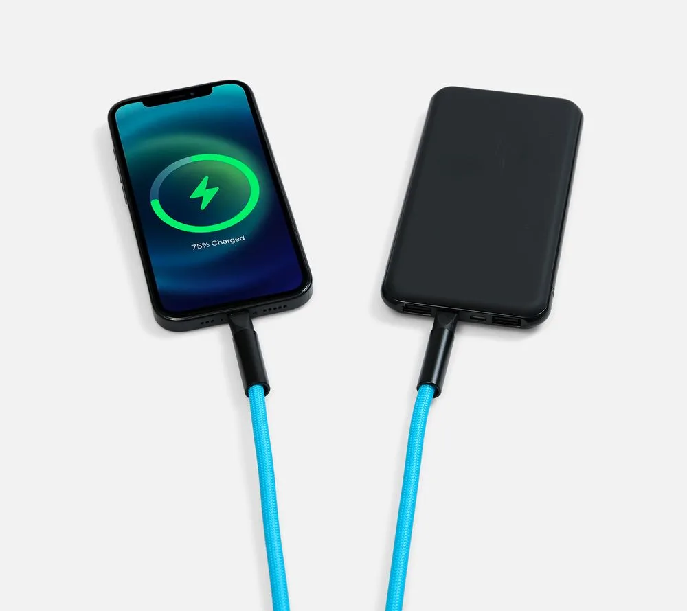 Кабель-ланьярд energyFlex Power Delivery 60 Вт, голубой