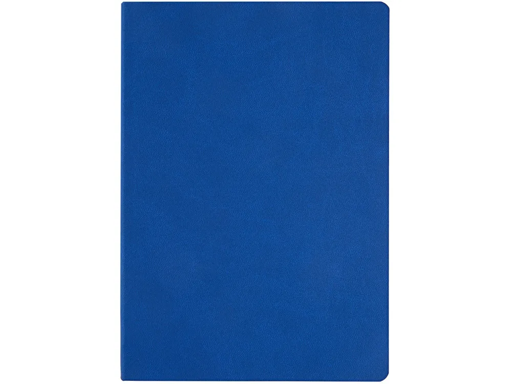Ежедневник недатированный А5 "Megapolis Color Flex", синий
